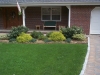 Foundation planting